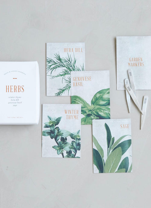 Herb Seed Kit