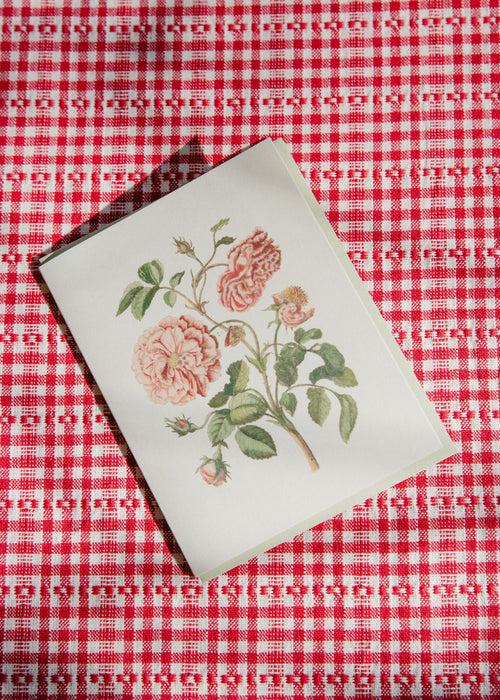 Greeting Card Antique Rose