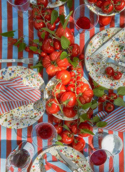 HTH x Domino MINI STRIPE -  Tomato & Blue Napkins